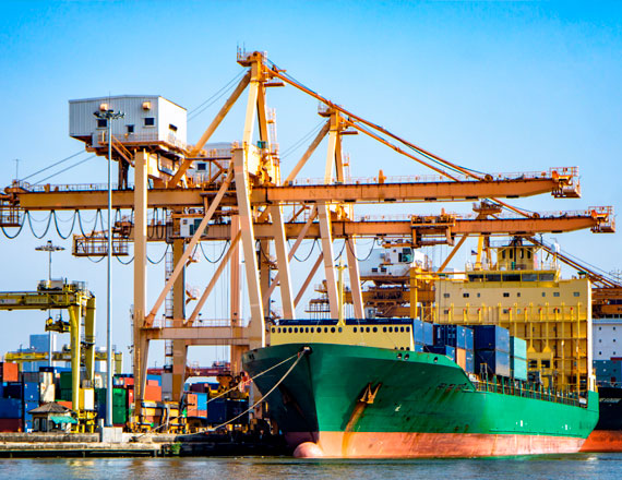 pau-sedap-partner-cat-img_10